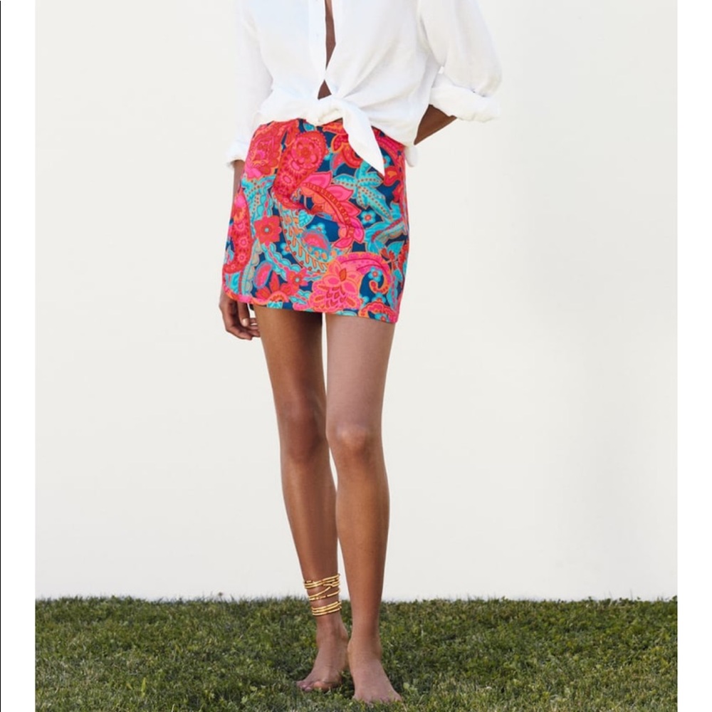 Zara || Short Printed Skirt - Picture 2 of 11